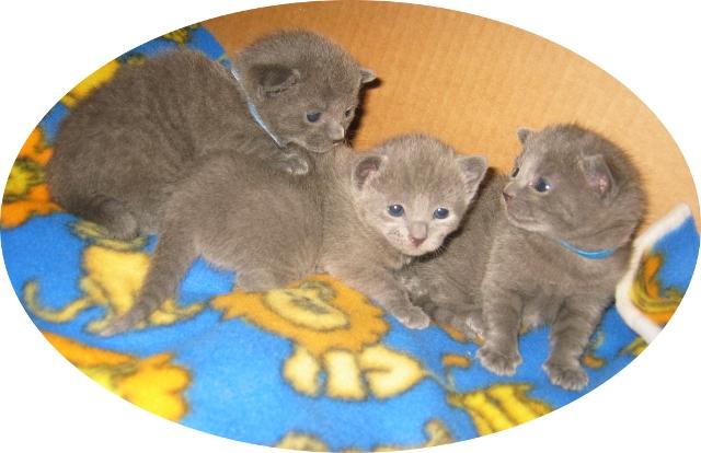 2,5 weeks_boys_girl